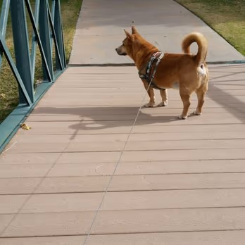 O'Callaghan Park